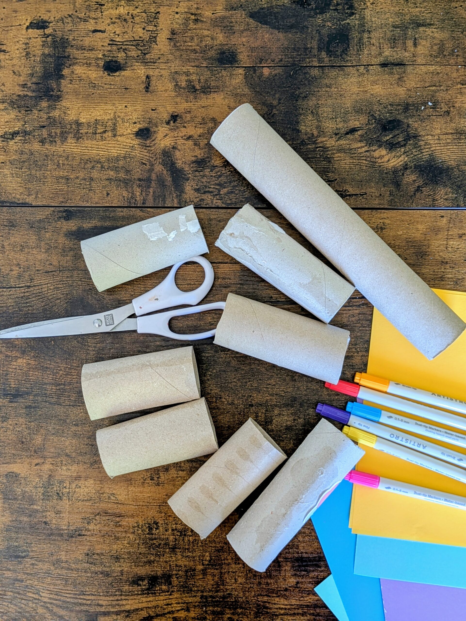 toilrt paper roll activities