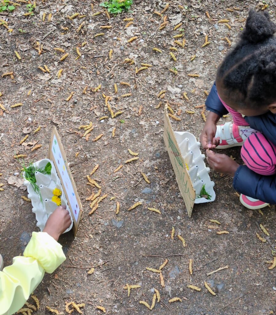 Nature hunt activity